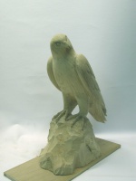 2009-22. Slechtvalk. Jos Huls B.jpg