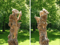 2014-32. Tuinbeeld. Wally Huijbregts B.gif