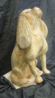 2017-25. Hond. Johan Colijn.JPG