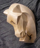 2014-12. Paard. Peter Vroomans B.jpg