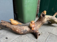 IMG_0178.jpeg