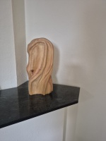 Het Hoofd Sjaak Kolvenbach 2.jpg