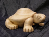 2016-26. Schildpad. Tom van den Berg.