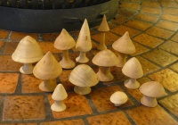 2016-20. Paddenstoelen. Wally Huijbregts