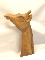 2010-25, Giraf, Elly Reems