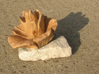 2010-31, Bloem, Jo Straver