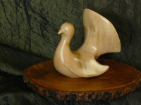 2010-41, Duif, Theo de Vroomen