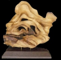 2011-11, Abstract, Arend Zweers