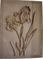 2011-41, Iris, Henk van Laar