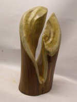 2011-37 straver.jpg