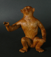 2012-21, Chimpanse kleine,Wally Huijbregts