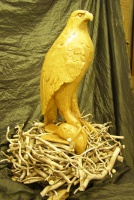 2018-13. Buizerd. Johan Colijn